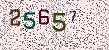 Visual Confirmation Security Code