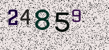 Visual Confirmation Security Code