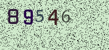 Visual Confirmation Security Code