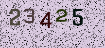 Visual Confirmation Security Code