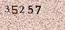 Visual Confirmation Security Code