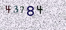 Visual Confirmation Security Code