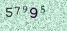 Visual Confirmation Security Code