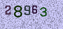Visual Confirmation Security Code